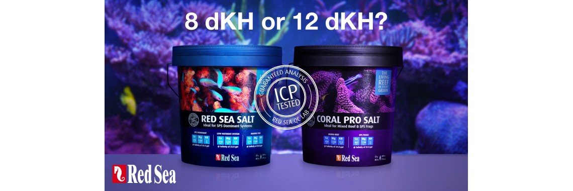 Red Sea
