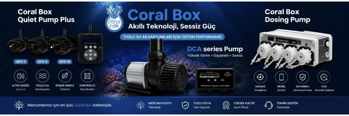 Coral Box