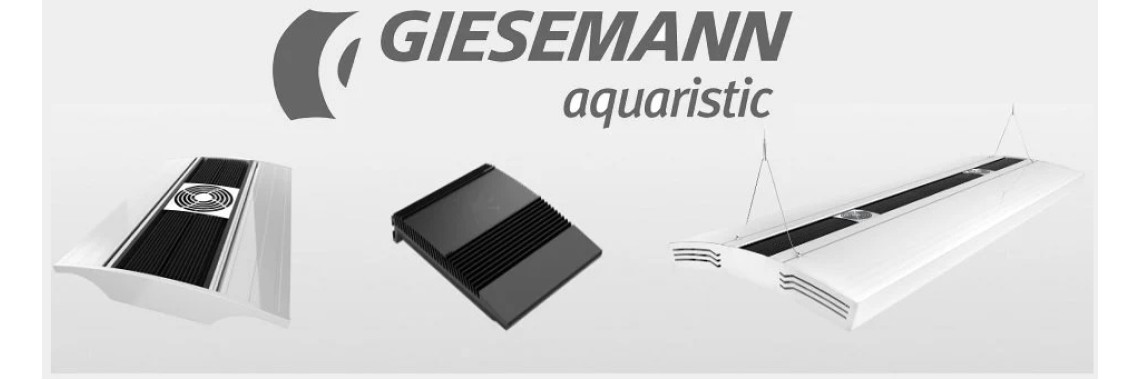 Giesemann