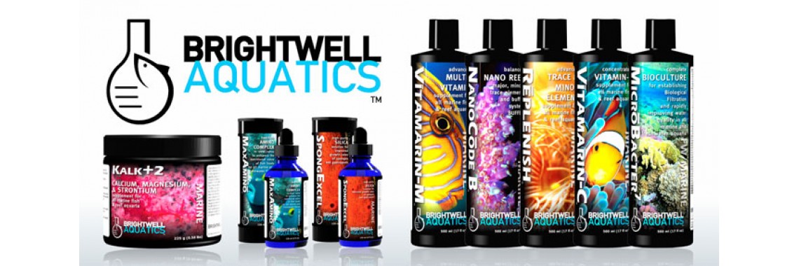 Brightwell Aquatics