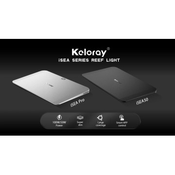 Keloray - İSEA 100