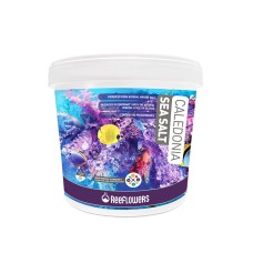 Reeflowers - Caledonia Sea Salt 22,5 KG