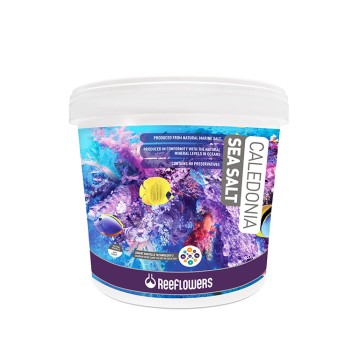 Reeflowers - Caledonia Sea Salt 22,5 KG