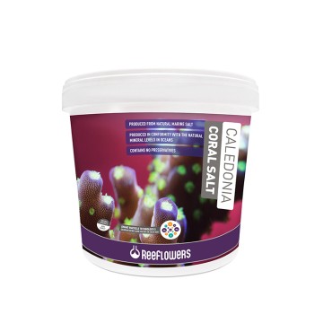 Reeflowers - Caledonia Coral Salt 22,5 KG