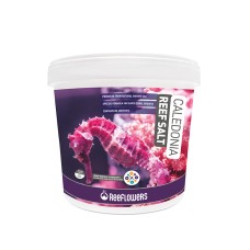 Reeflowers - Caledonia Reef Salt 22,5 KG