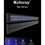Keloray - Bar 90