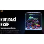 AquaForest - Nano Tank