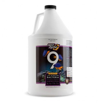 FRITZZYME 9 SW NITRIFYING BACTERIA 1 GALLON / 3.79 L