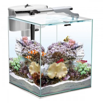 Aquael - Set Nano Reef Duo 30 Akvaryum