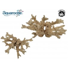Aquaroche - Acropora kit 21 pieces branch tipped 699721