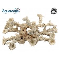 Aquaroche - Acropora kit 21 pieces 699720