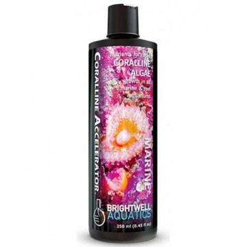 Brightwell - Coralline Accelerator 250 ML