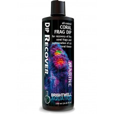 Brightwell - Koral Recover 250 ML