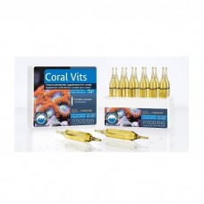 Prodibio - Coral Vits 12 pcs