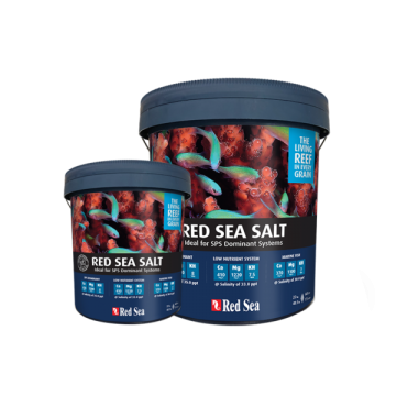 Red Sea - Salt 22 KG
